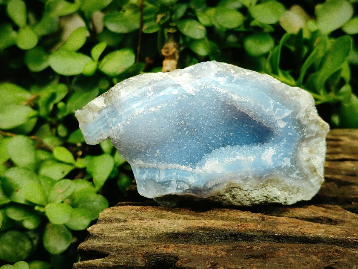 Natural Blue Lace Agate Geode Specimens x 12 From Nsanje, Malawi