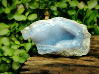 Natural Blue Lace Agate Geode Specimens x 12 From Nsanje, Malawi