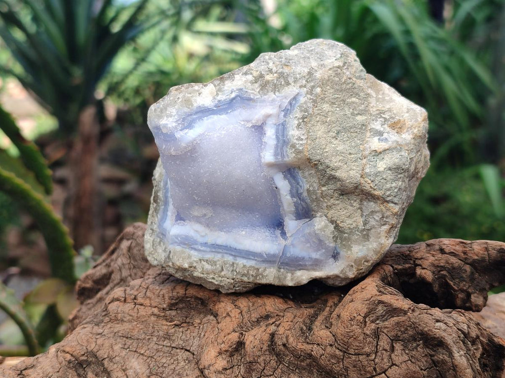 Natural Blue Lace Agate Geode Specimens x 12 From Nsanje, Malawi