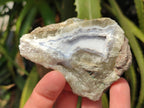 Natural Blue Lace Agate Geode Specimens x 12 From Nsanje, Malawi