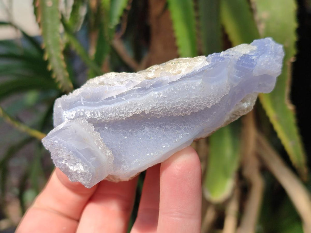 Natural Blue Lace Agate Geode Specimens x 12 From Nsanje, Malawi