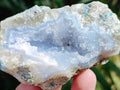 Natural Blue Lace Agate Geode Specimens x 12 From Nsanje, Malawi