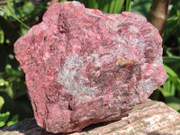 Natural Rhodonite Cobbed Specimens x 2 From Rhusinga, Zimbabwe
