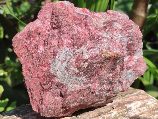 Natural Rhodonite Cobbed Specimens x 2 From Rhusinga, Zimbabwe
