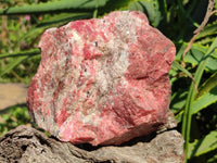 Natural Rhodonite Cobbed Specimens x 2 From Rhusinga, Zimbabwe