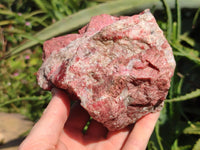 Natural Rhodonite Cobbed Specimens x 2 From Rhusinga, Zimbabwe