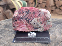 Natural Rhodonite Cobbed Specimens x 2 From Rhusinga, Zimbabwe