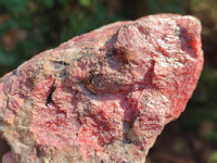 Natural Rhodonite Cobbed Specimens x 2 From Rhusinga, Zimbabwe