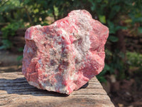 Natural Rhodonite Cobbed Specimens x 2 From Rhusinga, Zimbabwe