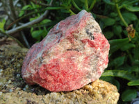 Natural Rhodonite Cobbed Specimens x 2 From Rhusinga, Zimbabwe