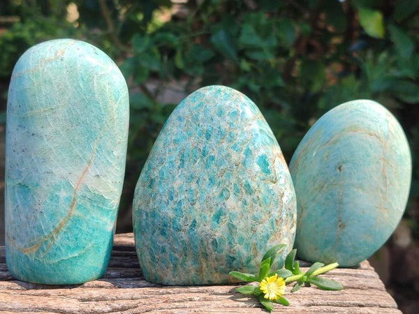 Polished Amazonite Standing Free Forms x 3 From Madagascar