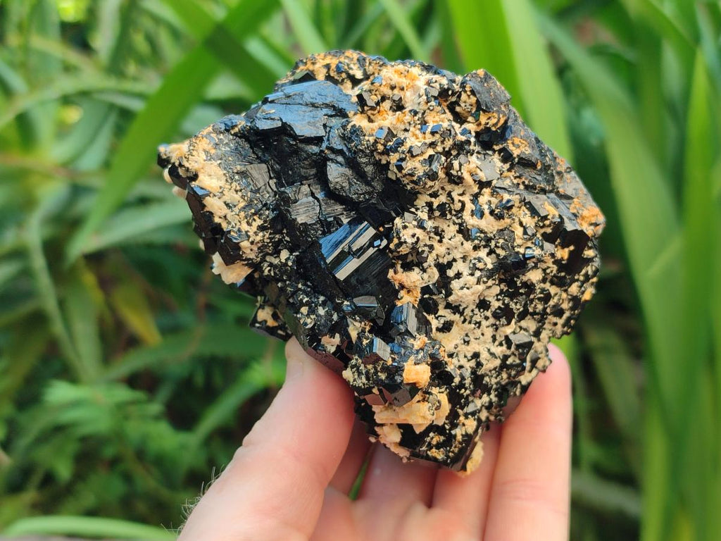 Natural Schorl Black Tourmaline Specimens x 2 From Erongo, Namibia