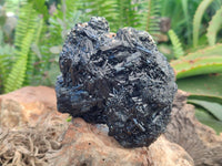 Natural Schorl Black Tourmaline Specimens x 2 From Erongo, Namibia