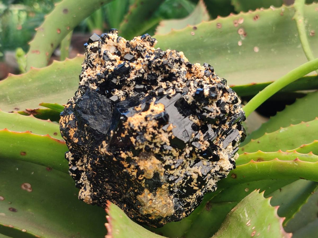 Natural Schorl Black Tourmaline Specimens x 2 From Erongo, Namibia