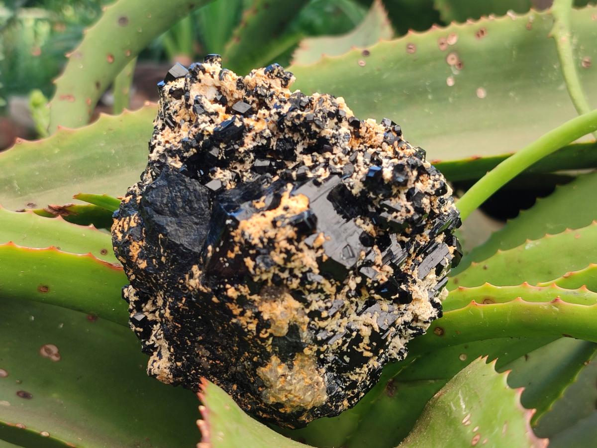 Natural Schorl Black Tourmaline Specimens x 2 From Erongo, Namibia