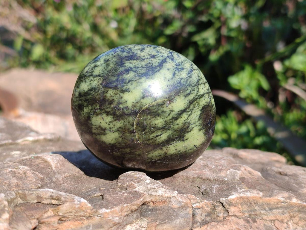 Polished Leopard Stone Palm Stones x 6 From Zimbabwe