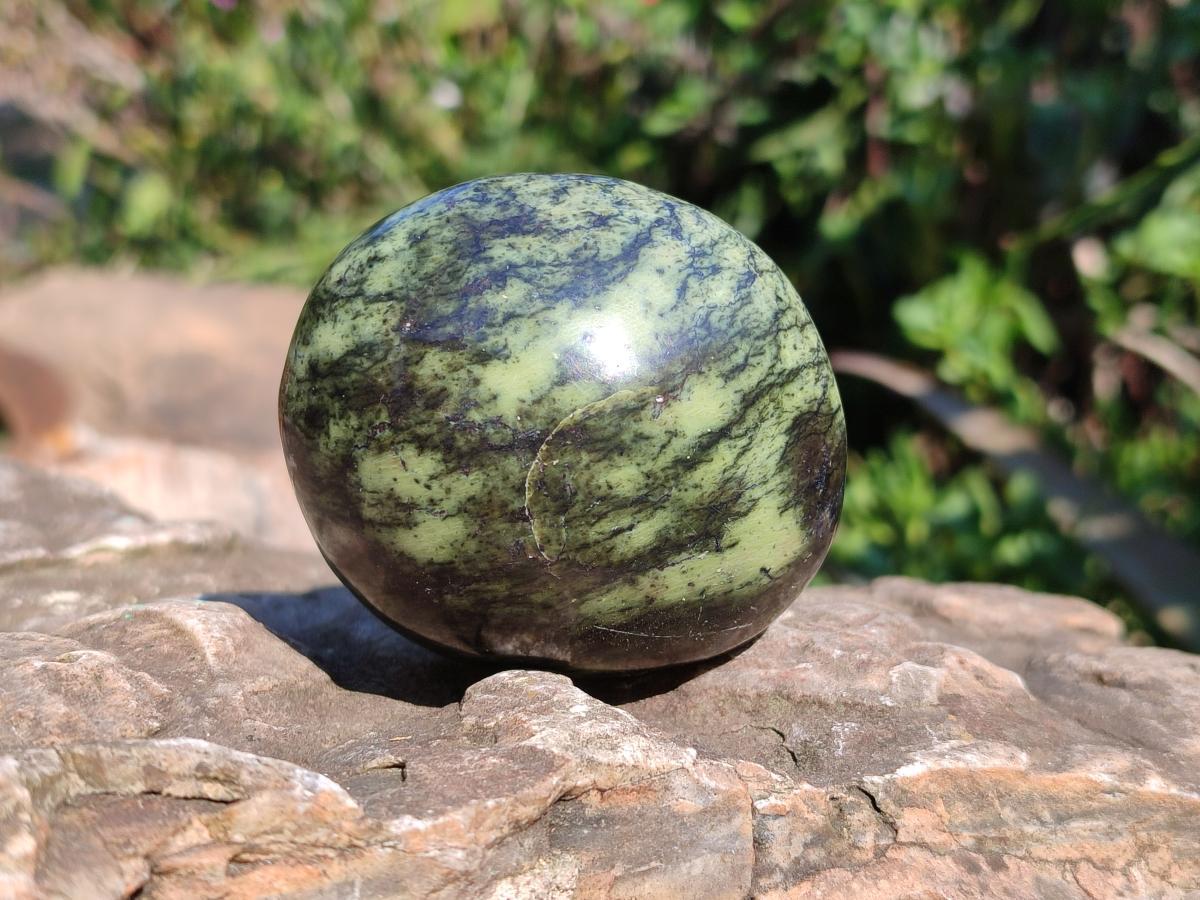 Polished Leopard Stone Palm Stones x 6 From Zimbabwe