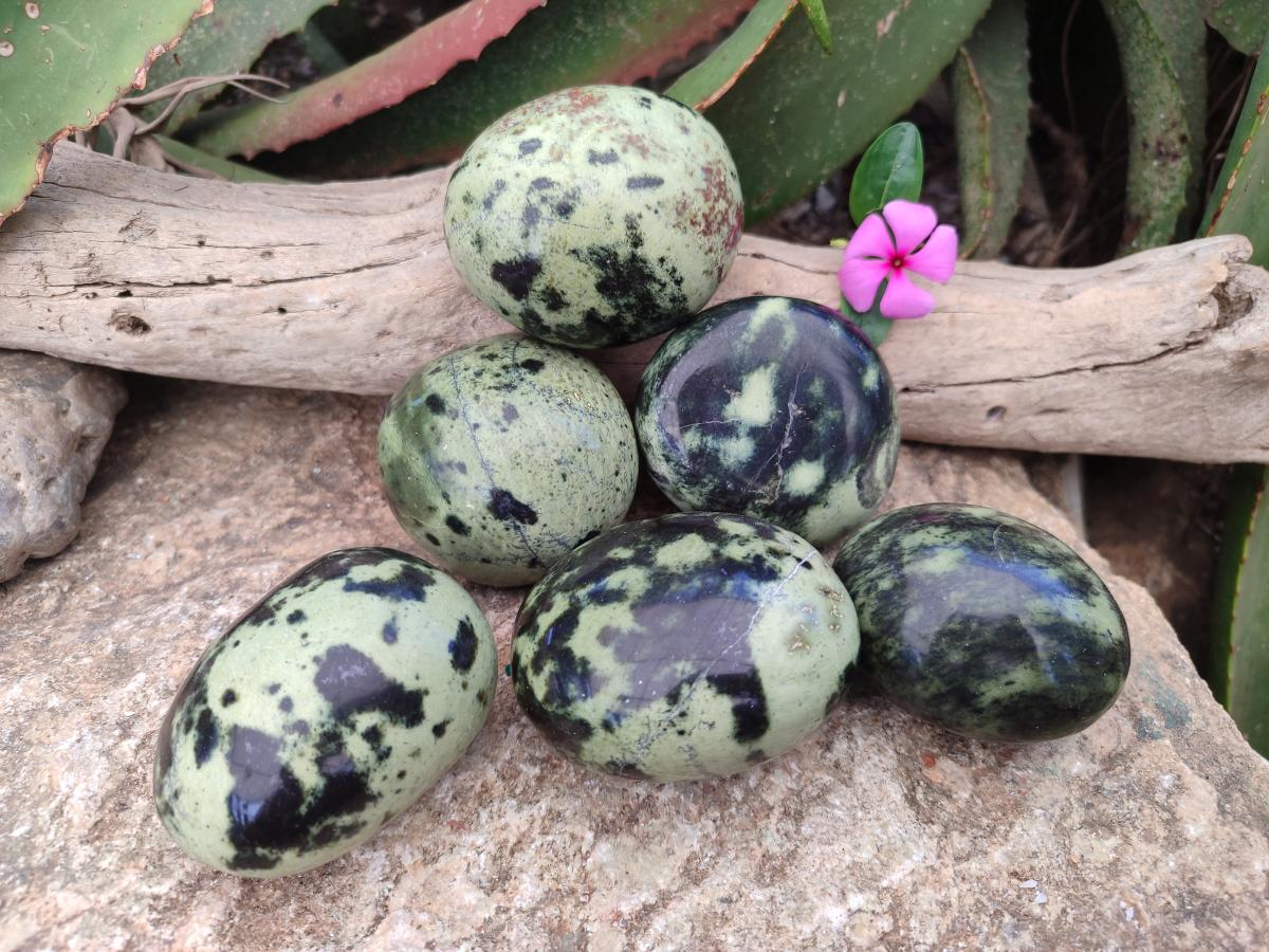 Polished Leopard Stone Palm Stones x 6 From Zimbabwe