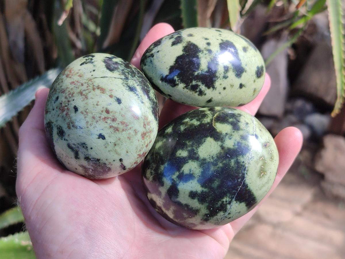 Polished Leopard Stone Palm Stones x 6 From Zimbabwe