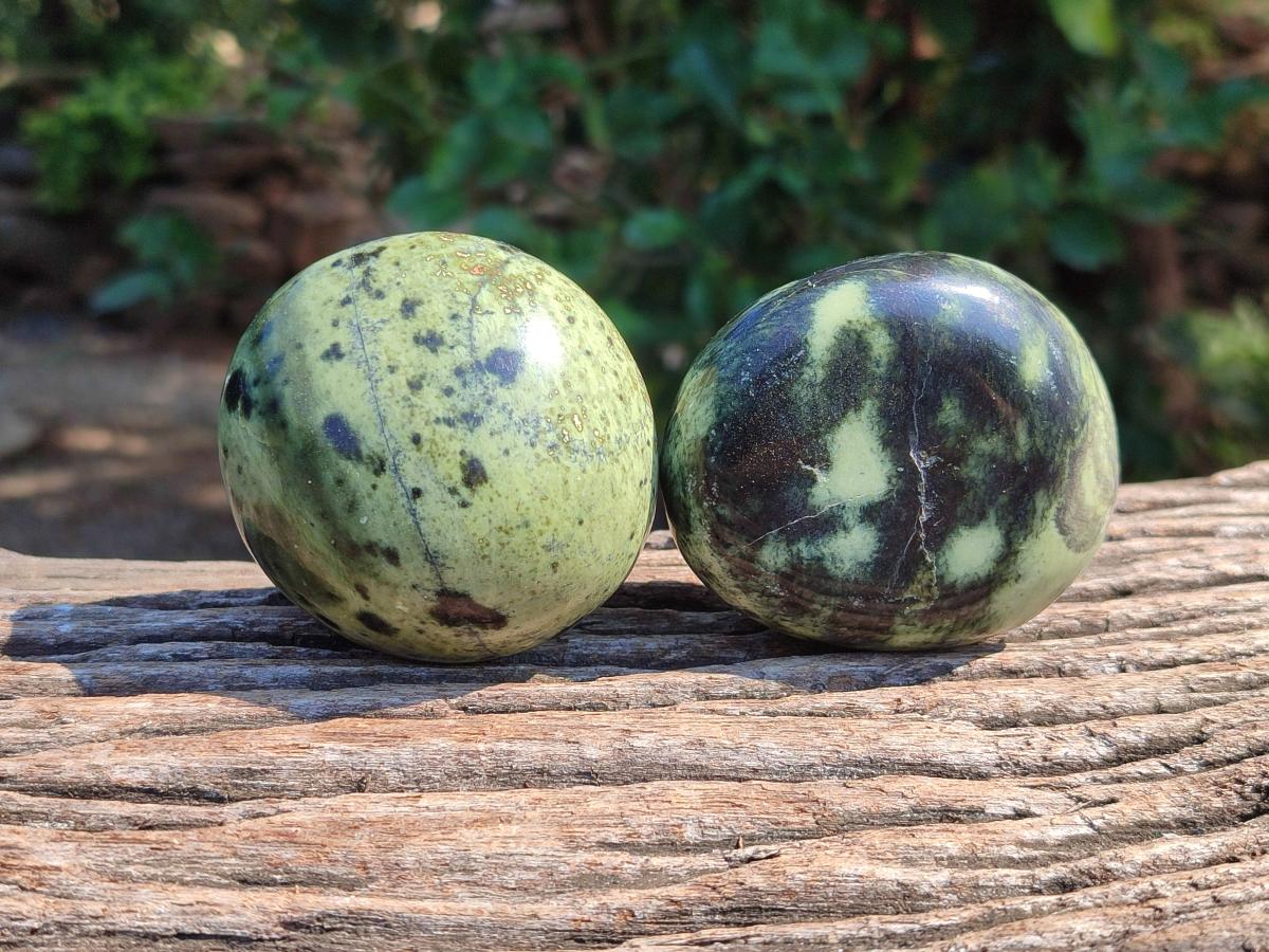 Polished Leopard Stone Palm Stones x 6 From Zimbabwe
