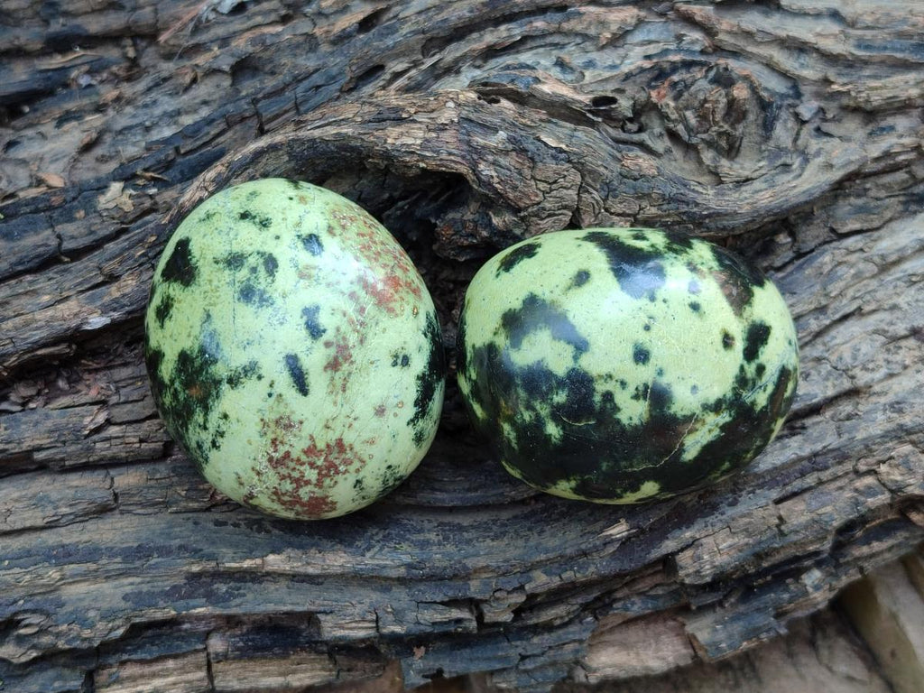Polished Leopard Stone Palm Stones x 6 From Zimbabwe