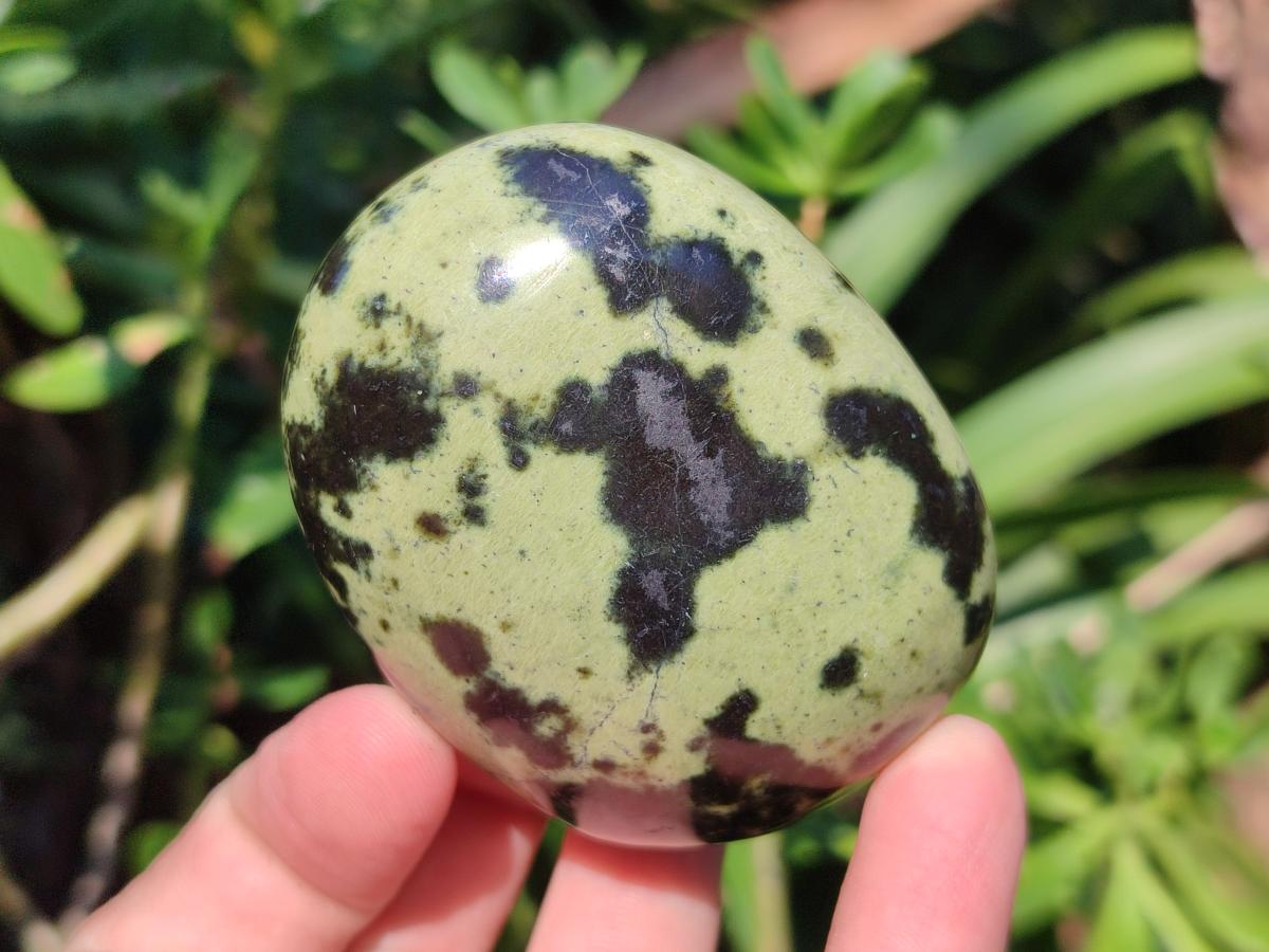 Polished Leopard Stone Palm Stones x 6 From Zimbabwe