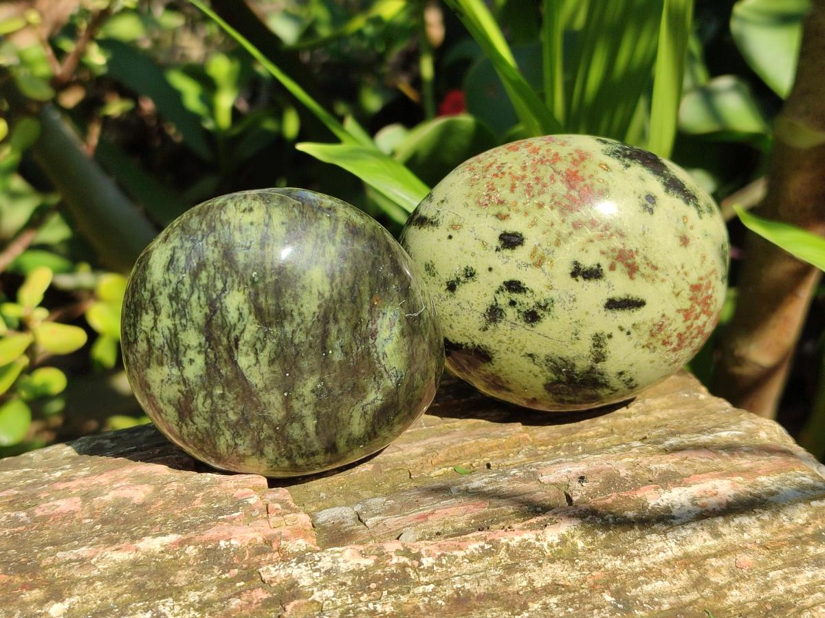 Polished Leopard Stone Palm Stones x 6 From Zimbabwe