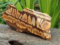 Polished On One Side Nguni Jasper Slices x 2 From Northern Cape, South Africa