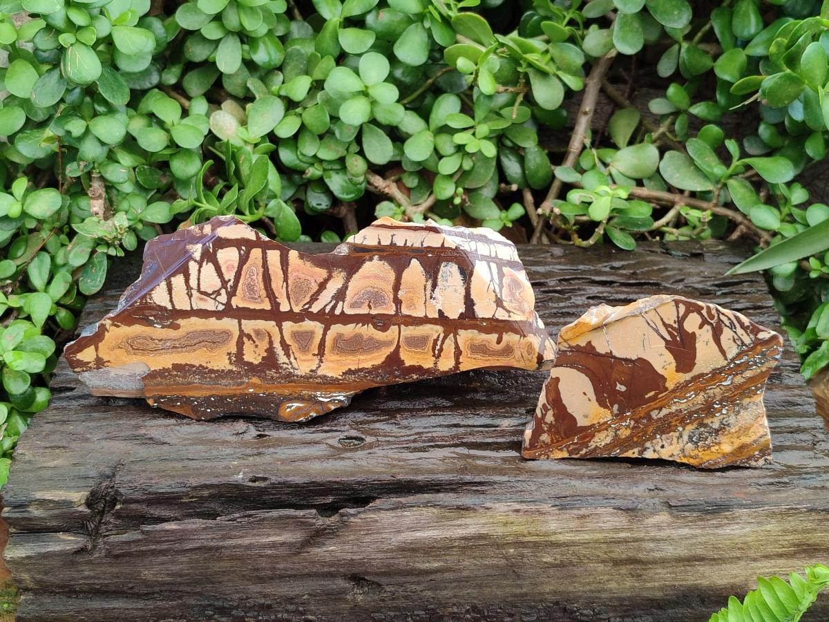 Polished On One Side Nguni Jasper Slices x 2 From Northern Cape, South Africa