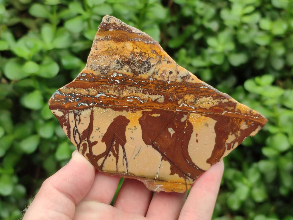 Polished On One Side Nguni Jasper Slices x 2 From Northern Cape, South Africa