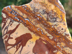 Polished On One Side Nguni Jasper Slices x 2 From Northern Cape, South Africa