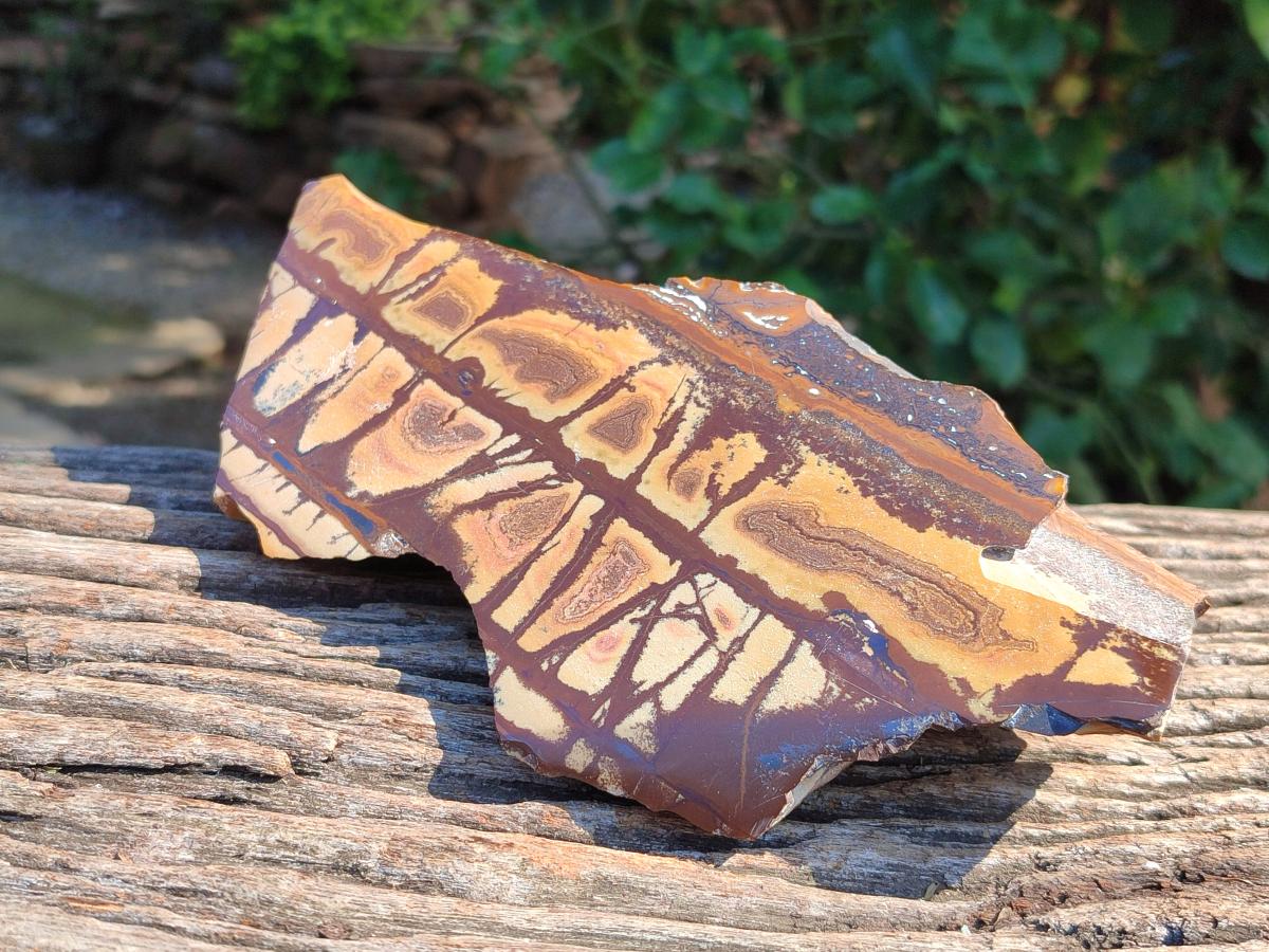 Polished On One Side Nguni Jasper Slices x 2 From Northern Cape, South Africa