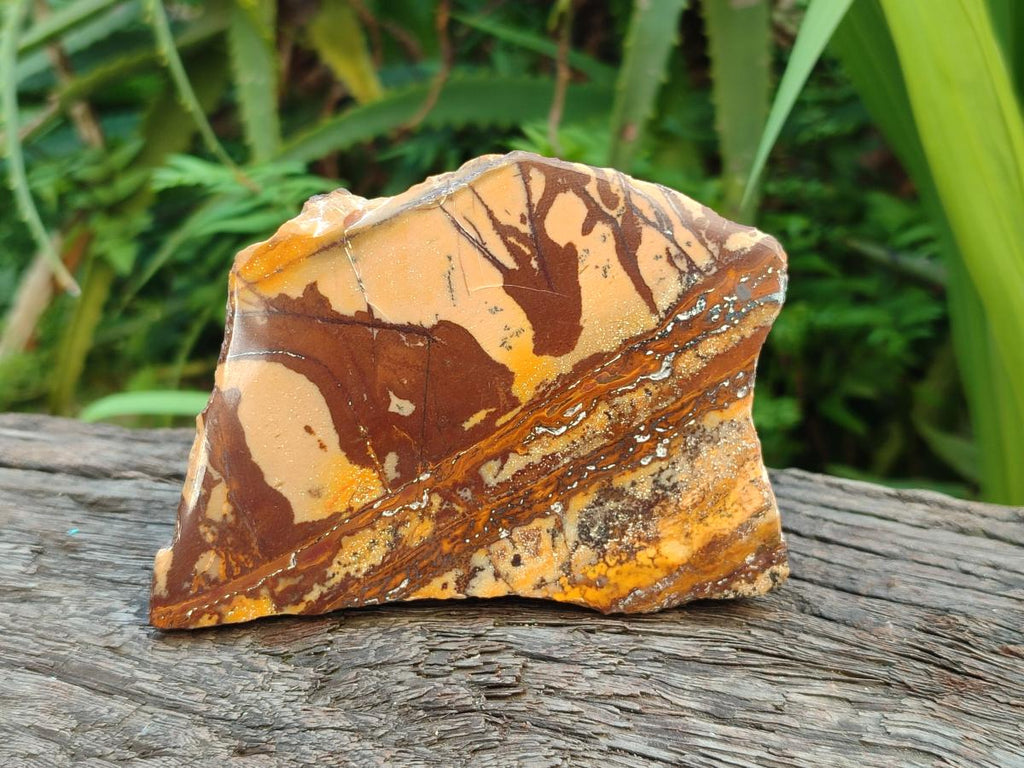 Polished On One Side Nguni Jasper Slices x 2 From Northern Cape, South Africa