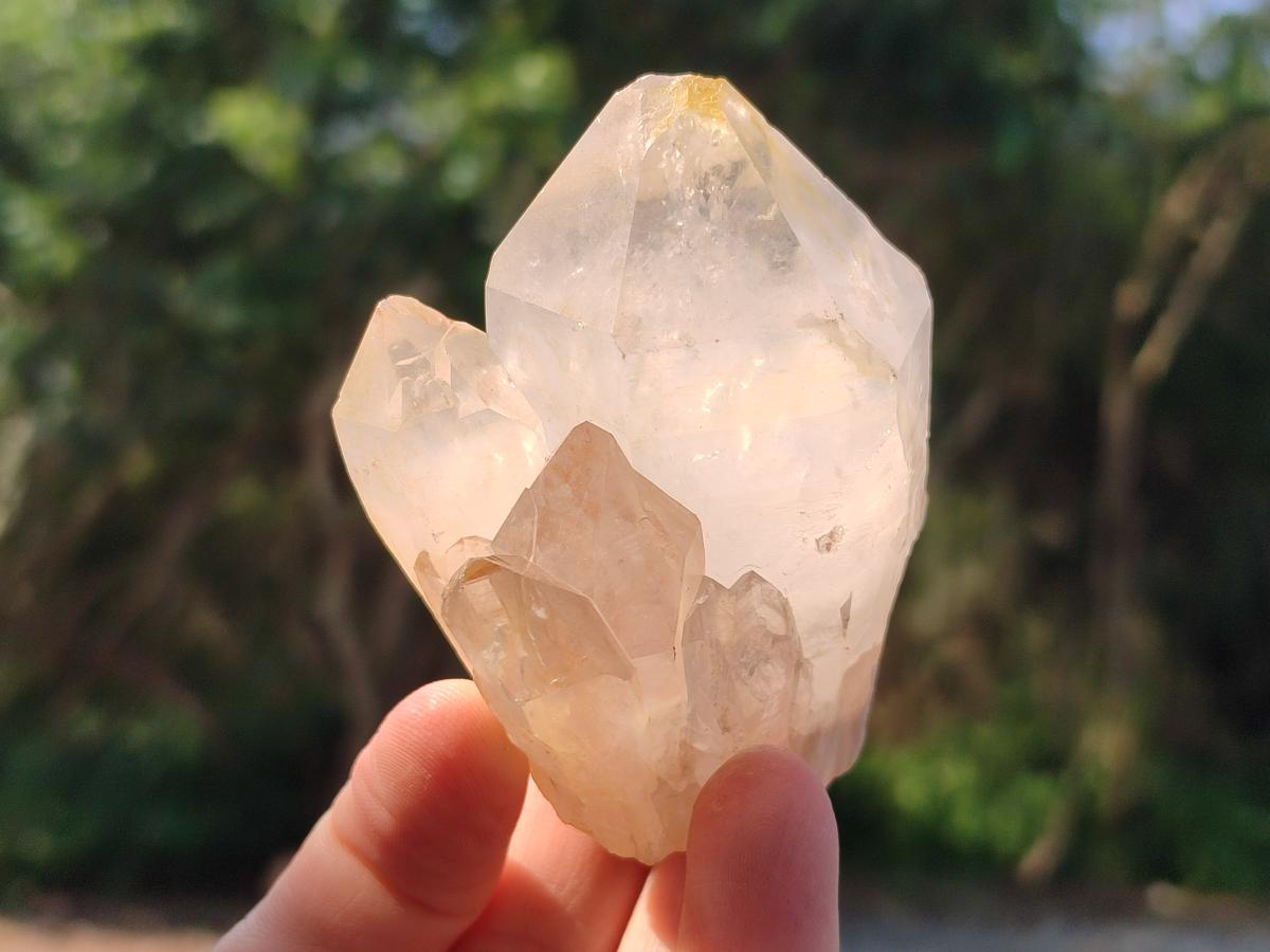 Natural Castle Quartz Crystals x 12 From Madagascar