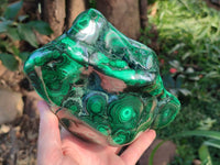 Polished Large Banded Flower Malachite Free Form x 1 From Congo