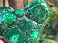 Polished Large Banded Flower Malachite Free Form x 1 From Congo