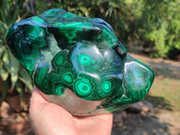 Polished Large Banded Flower Malachite Free Form x 1 From Congo