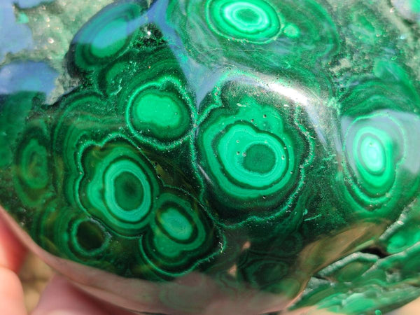 Polished Large Banded Flower Malachite Free Form x 1 From Congo