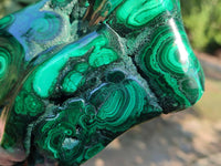 Polished Large Banded Flower Malachite Free Form x 1 From Congo