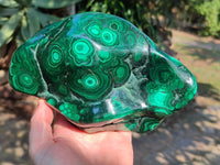 Polished Large Banded Flower Malachite Free Form x 1 From Congo