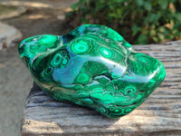 Polished Large Banded Flower Malachite Free Form x 1 From Congo
