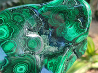 Polished Large Banded Flower Malachite Free Form x 1 From Congo