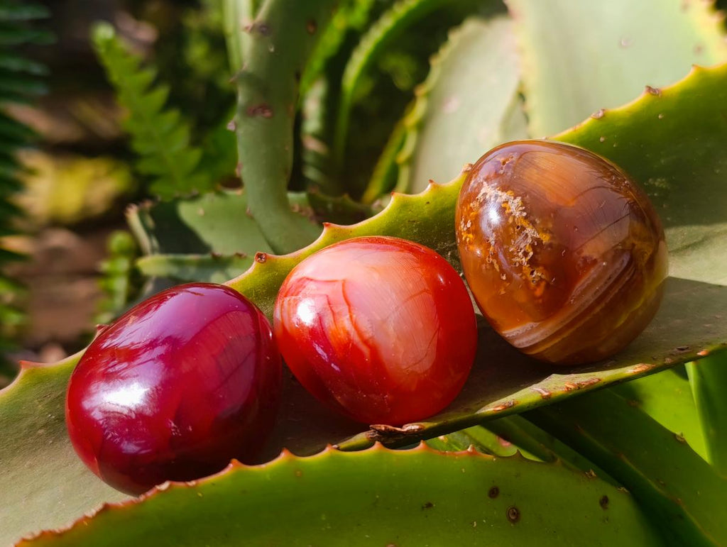 Polished Carnelian Agate Gemstone Galets x 20 From Madagascar