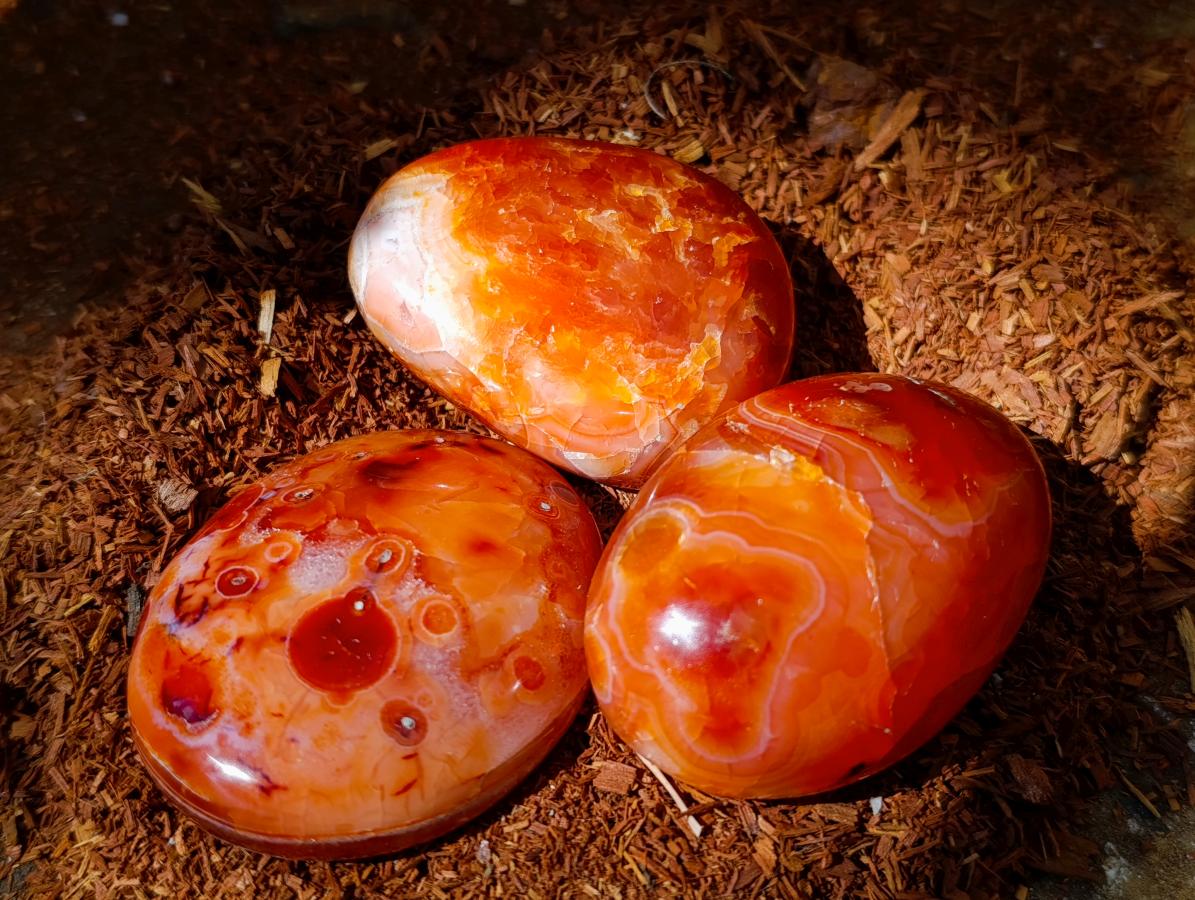 Polished Carnelian Agate Gemstone Galets x 20 From Madagascar