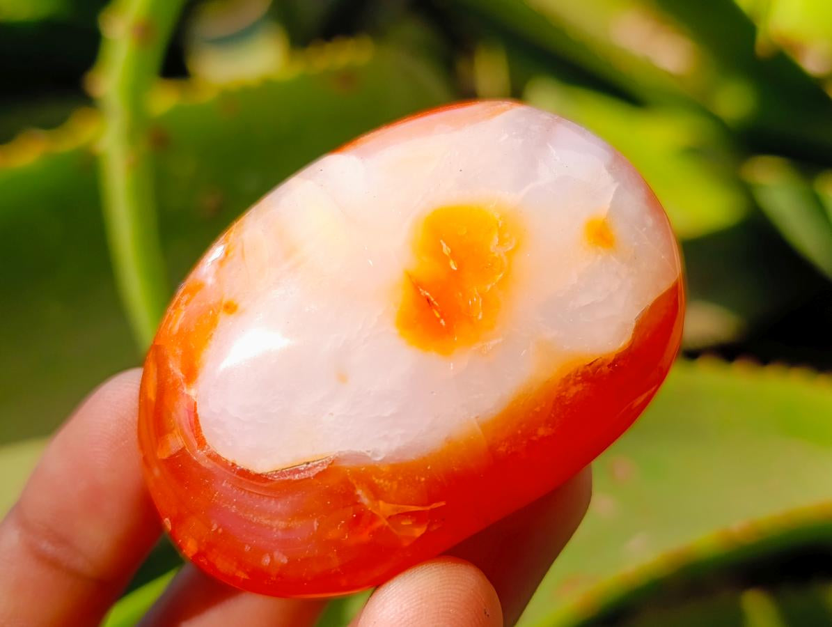 Polished Carnelian Agate Gemstone Galets x 20 From Madagascar