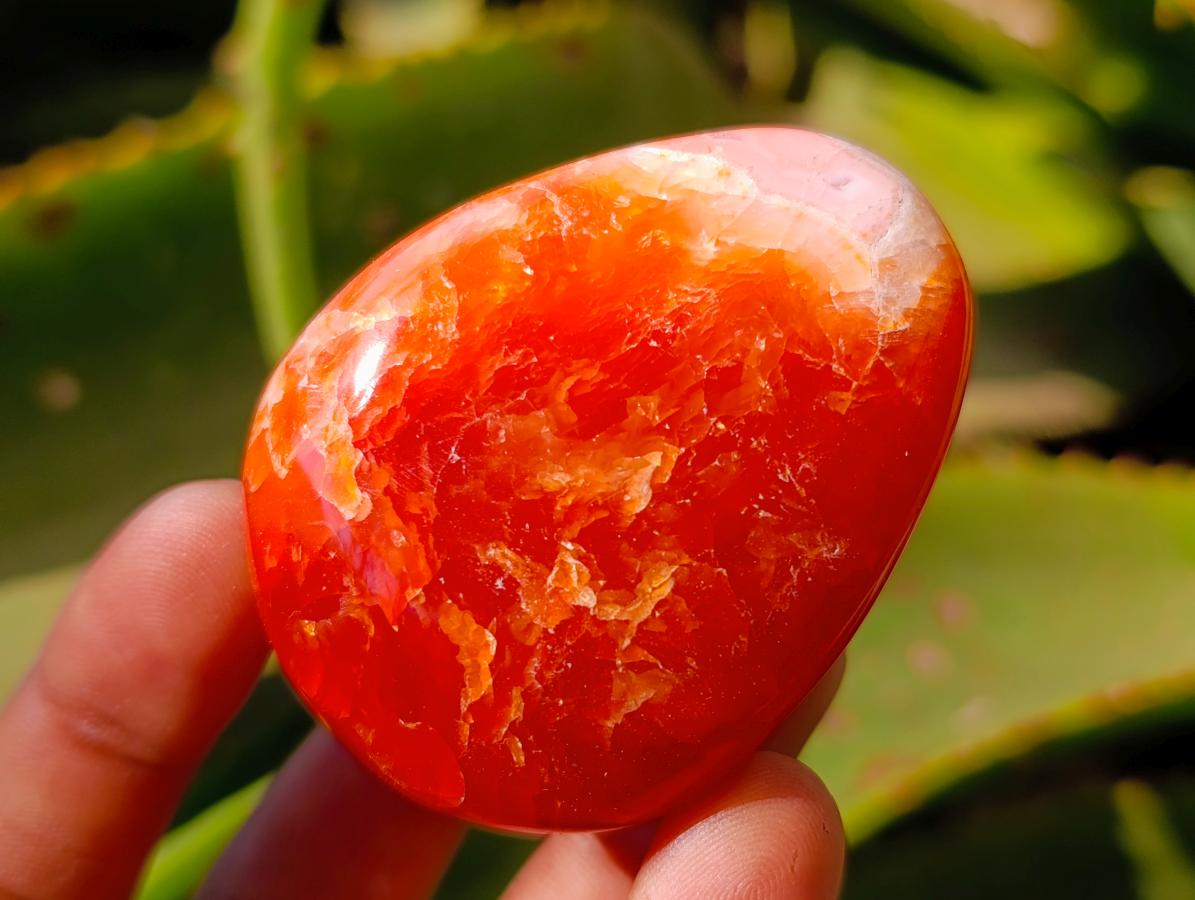Polished Carnelian Agate Gemstone Galets x 20 From Madagascar