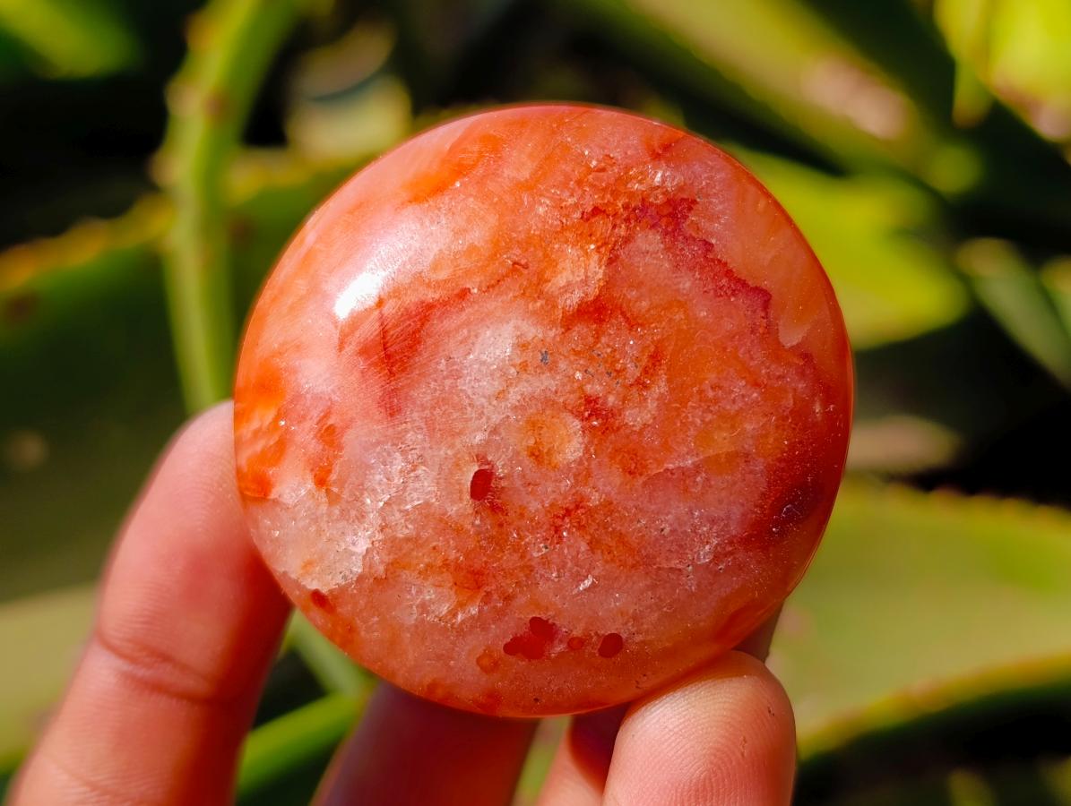 Polished Carnelian Agate Gemstone Galets x 20 From Madagascar