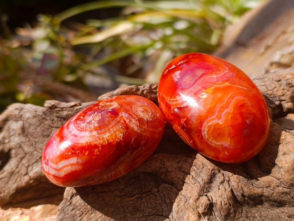 Polished Carnelian Agate Gemstone Galets x 20 From Madagascar
