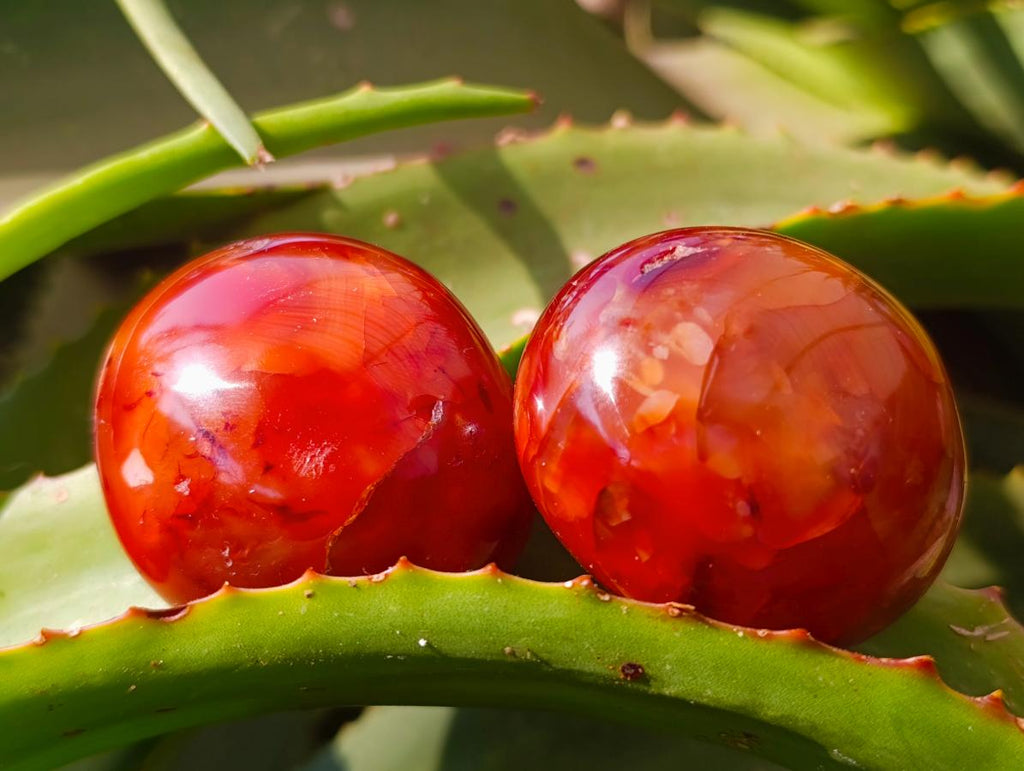 Polished Carnelian Agate Gemstone Galets x 20 From Madagascar