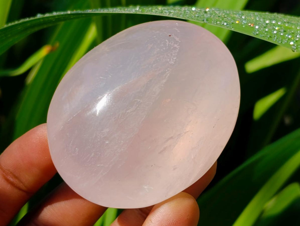 Polished Rose Quartz Palm Stones x 12 From Madagascar